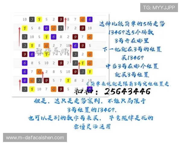 幸运11选5选号技巧分析与预测方法助你提高中奖概率